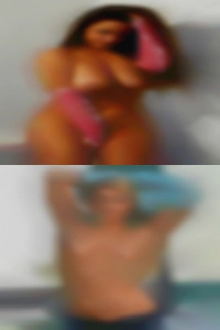 iggieColli, Lancaster, Pennsylvania iggieColli, Lancaster, Pennsylvania