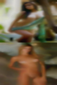 mangoHartzell, Danbury, Connecticut mangoHartzell, Danbury, Connecticut